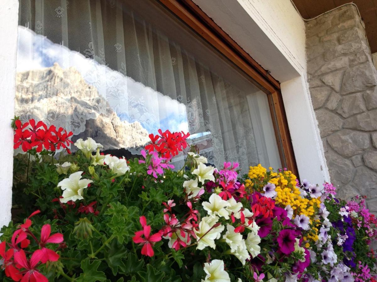 Bed & Breakfast Rifugio Palafavera Zoldo Alto
